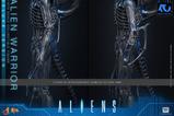 13-Alien-Movie-Masterpiece-Figura-16-Alien-Warrior-Deluxe-Version-39-cm.jpg