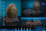 15-Alien-Movie-Masterpiece-Figura-16-Alien-Warrior-Deluxe-Version-39-cm.jpg