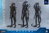 17-Alien-Movie-Masterpiece-Figura-16-Alien-Warrior-Deluxe-Version-39-cm.jpg