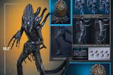 18-Alien-Movie-Masterpiece-Figura-16-Alien-Warrior-Deluxe-Version-39-cm.jpg