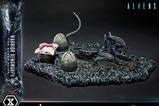 07-Aliens-Film-Ultimate-Diorama-Masterline-Estatua-Warrior-Xenomorph-for-Queen-.jpg