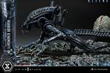 11-Aliens-Film-Ultimate-Diorama-Masterline-Estatua-Warrior-Xenomorph-for-Queen-.jpg