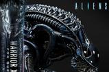 14-Aliens-Film-Ultimate-Diorama-Masterline-Estatua-Warrior-Xenomorph-for-Queen-.jpg