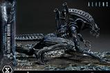 16-Aliens-Film-Ultimate-Diorama-Masterline-Estatua-Warrior-Xenomorph-for-Queen-.jpg