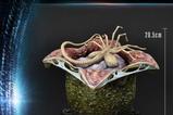 05-Aliens-Premium-Masterline-Series-Estatua-Xenomorph-Egg-Open-Version-Alien-Com.jpg