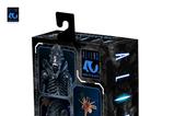 03-Aliens-Ultimate-Figura-Warrior-1986-Xenomorph-Black-40th-Anniversary-23-cm.jpg