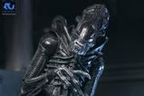 07-Aliens-Ultimate-Figura-Warrior-1986-Xenomorph-Black-40th-Anniversary-23-cm.jpg