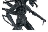 12-Aliens-Ultimate-Figura-Warrior-1986-Xenomorph-Black-40th-Anniversary-23-cm.jpg