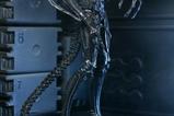 14-Aliens-Ultimate-Figura-Warrior-1986-Xenomorph-Black-40th-Anniversary-23-cm.jpg
