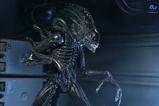 15-Aliens-Ultimate-Figura-Warrior-1986-Xenomorph-Black-40th-Anniversary-23-cm.jpg