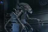 16-Aliens-Ultimate-Figura-Warrior-1986-Xenomorph-Black-40th-Anniversary-23-cm.jpg