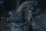 18-Aliens-Ultimate-Figura-Warrior-1986-Xenomorph-Black-40th-Anniversary-23-cm.jpg