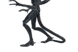 20-Aliens-Ultimate-Figura-Warrior-1986-Xenomorph-Black-40th-Anniversary-23-cm.jpg