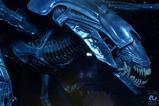 09-aliens-ultra-deluxe-figura-alien-queen-40th-anniversary-38-cm.jpg