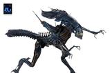 12-aliens-ultra-deluxe-figura-alien-queen-40th-anniversary-38-cm.jpg