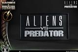 13-Aliens-vs-Predator-Comic-Ultimate-Premium-Masterline-Statue-14-Machiko--B.jpg