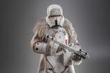 02-Andor-Figura-16-Range-Trooper-31-cm.jpg