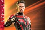 02-AntMan--The-Wasp-Quantumania-Figura-Movie-Masterpiece-16-AntMan-30-cm.jpg