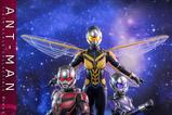 15-AntMan--The-Wasp-Quantumania-Figura-Movie-Masterpiece-16-AntMan-30-cm.jpg
