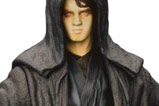 01.ARTFX-anakin-skywalker-Episode-III.jpg