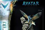 04-Avatar-The-Way-of-Water-Estatua-Neytiri-77-cm.jpg