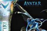 22-Avatar-The-Way-of-Water-Estatua-Neytiri-77-cm.jpg