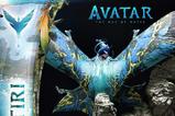 23-Avatar-The-Way-of-Water-Estatua-Neytiri-77-cm.jpg
