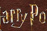 02-Barajas-de-Cartas-Harry-Potter-Collector.jpg