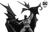 03-Batman-Black--White-Estatua-Batman-by-Denys-Cowan-25-cm.jpg