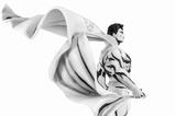 09-Batman-PX-Estatua-PVC-18-SDCC-2024-Superman-Black--White-Version-30-cm.jpg