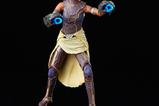 12-Black-Panther-Legacy-Collection-Figura-Shuri-15-cm.jpg