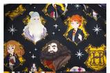 07-bolso-spring-harry-potter.jpg