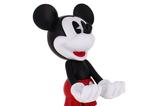 06-cable-guy-mickey-mouse.jpg