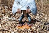 01-Cable-Guy-Rafiki.jpg