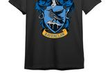 01-Camiseta-Ravenclaw-Harry-Potter.jpg