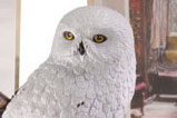 01-Criaturas-magicas-Hedwig.jpg