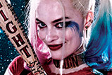 01-Cuadro-Suicide-Squad-Harley-Quinn.jpg