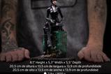 10-DC-Comics-Estatua-110-Art-Scale-Catwoman-Gotham-City-Sirens-21-cm.jpg