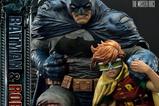 23-DC-Comics-Estatua-14-Ultimate-Premium-Masterline-Series-Batman--Robin-Dead-E.jpg