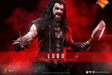 02-DC-Comics-Movie-Masterpiece-Figura-16-Lobo-33-cm.jpg