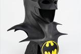 03-DC-Comics-Rplica-11-Scale-The-Flash--Batman-Cowl-53-cm.jpg