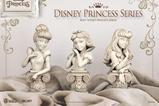 04-Disney-Princess-Series-Busto-PVC-Cindarella-15-cm.jpg