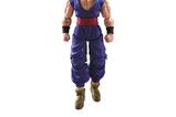 01-Dragon-Ball-Super-Super-Hero-Figura-SH-Figuarts-Son-Gohan-Beast-15-cm.jpg