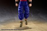 05-Dragon-Ball-Super-Super-Hero-Figura-SH-Figuarts-Son-Gohan-Beast-15-cm.jpg