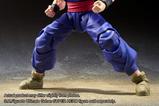 09-Dragon-Ball-Super-Super-Hero-Figura-SH-Figuarts-Son-Gohan-Beast-15-cm.jpg