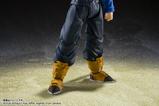 09-Dragon-Ball-Z-Figura-SH-Figuarts-Super-Saiyan-Trunks-The-Boy-From-The-Futur.jpg