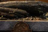07-el-mundo-perdido-jurassic-park-estatua-icons-stegosaurus-18-cm.jpg