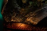 11-El-Seor-de-los-Anillos-Estatua-110-Art-Scale-Aragorn-Unleashed-31-cm.jpg