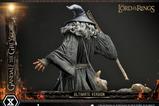 20-El-Seor-de-los-Anillos-Estatua-14-Gandalf-the-Grey-Ultimate-Version-81-cm.jpg