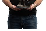 04-El-Seor-de-los-Anillos-Estatua-16-King-Thoden-33-cm.jpg
